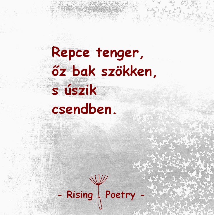 RP_F_INSTA_2019_10