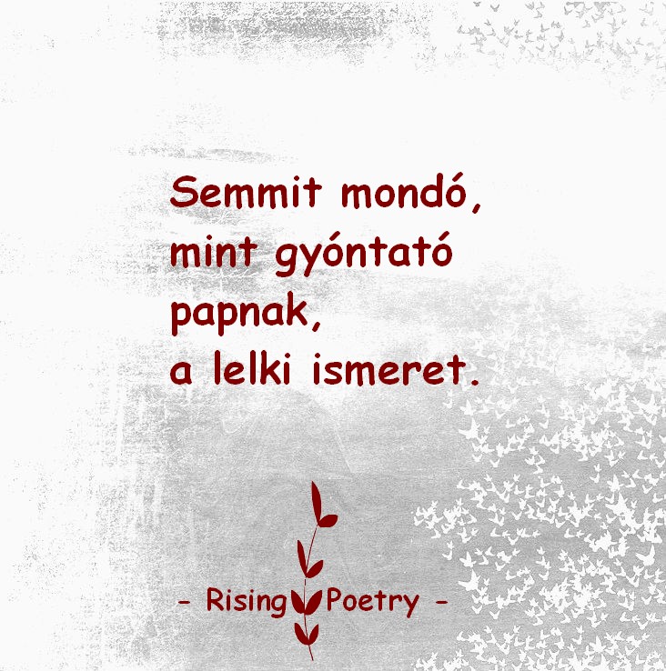 RP_F_INSTA_2019_11