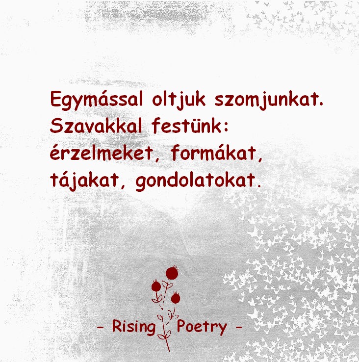 RP_F_INSTA_2019_12