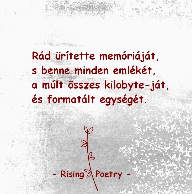 RP_F_INSTA_2019_13