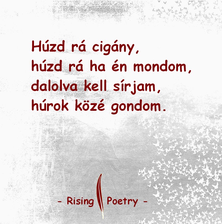 RP_F_INSTA_2019_16