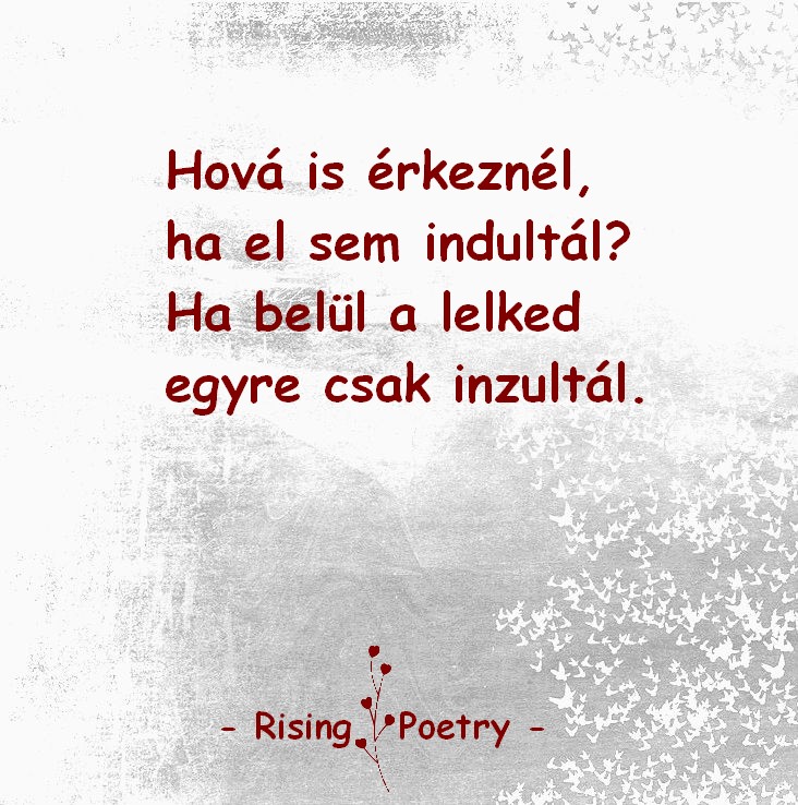 RP_F_INSTA_2019_19