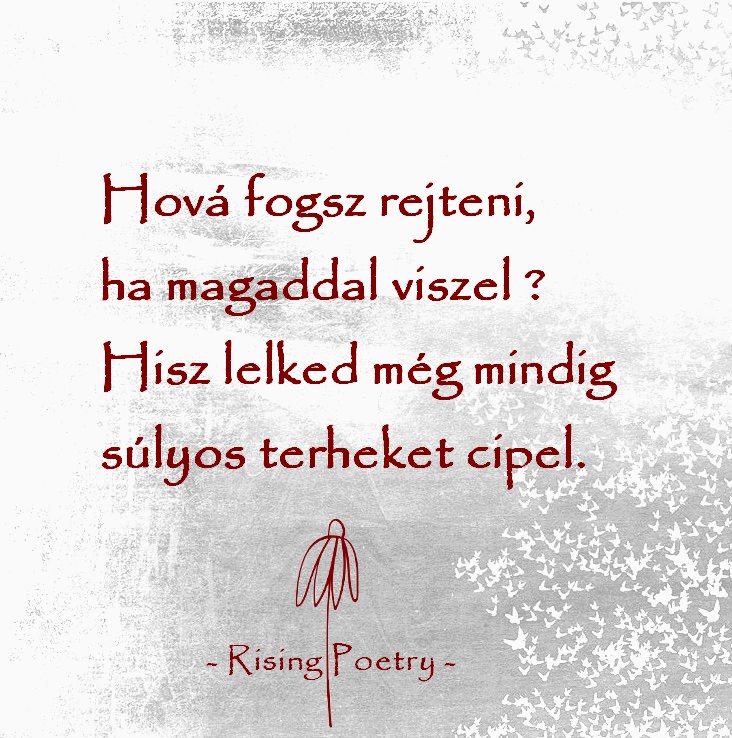 RP_F_INSTA_2019_2