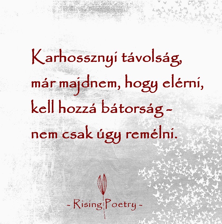 RP_F_INSTA_2019_4