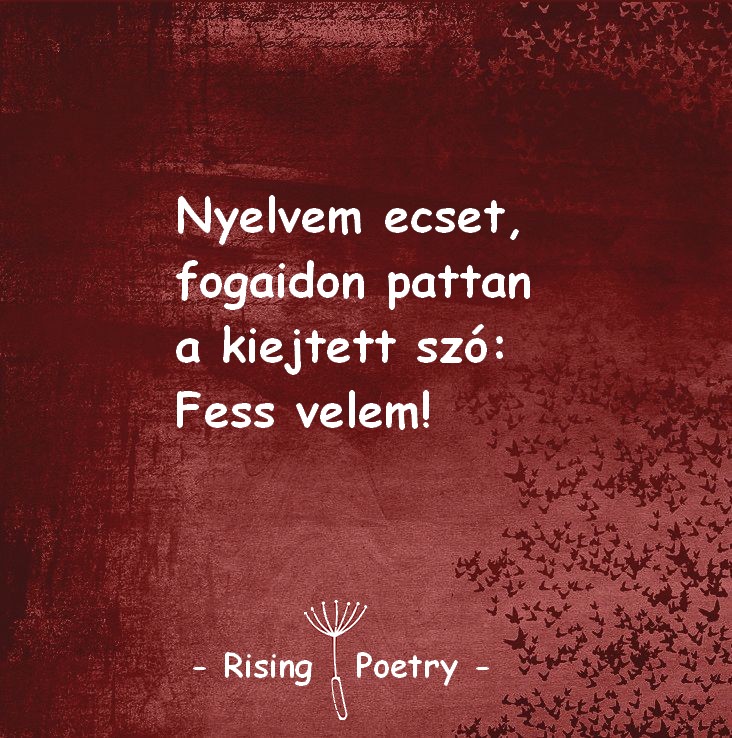 RP_INSTA_2019_10