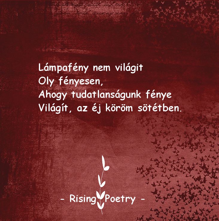 RP_INSTA_2019_11