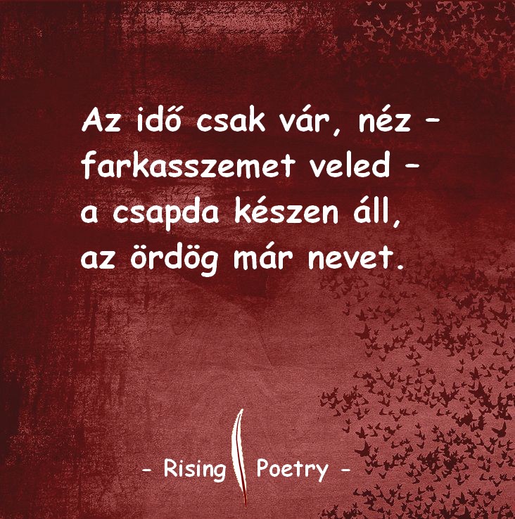 RP_INSTA_2019_16
