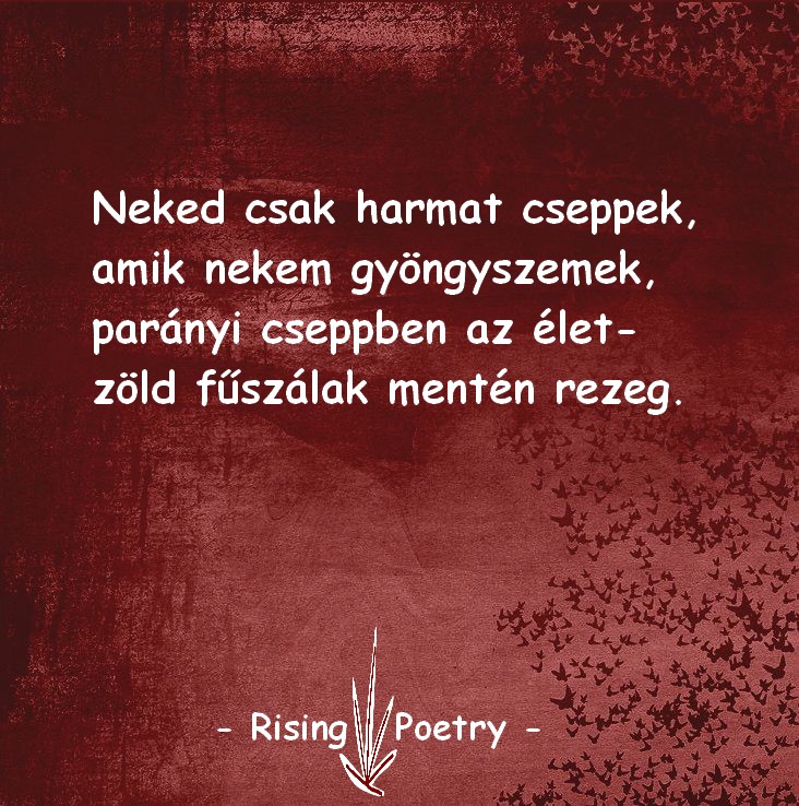 RP_INSTA_2019_17