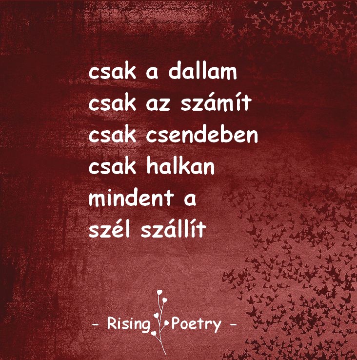 RP_INSTA_2019_19