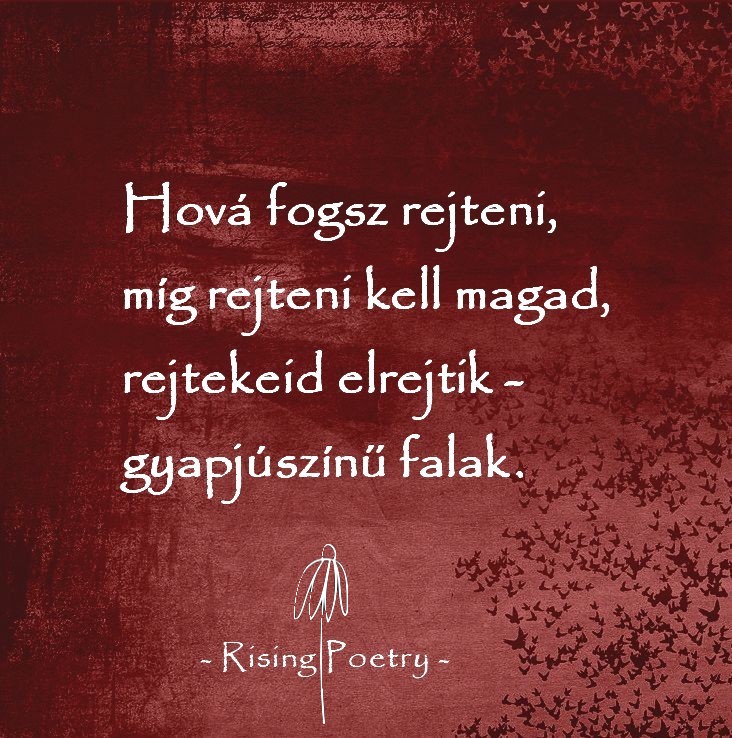RP_INSTA_2019_2