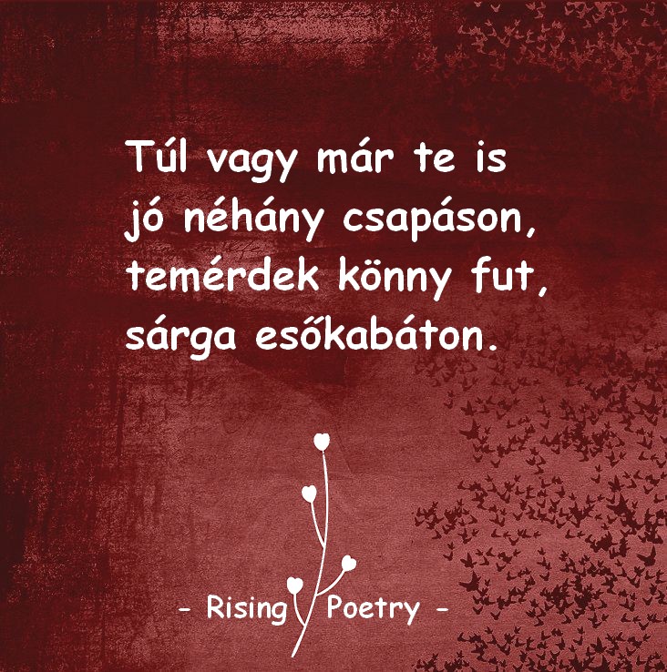 RP_INSTA_2019_21