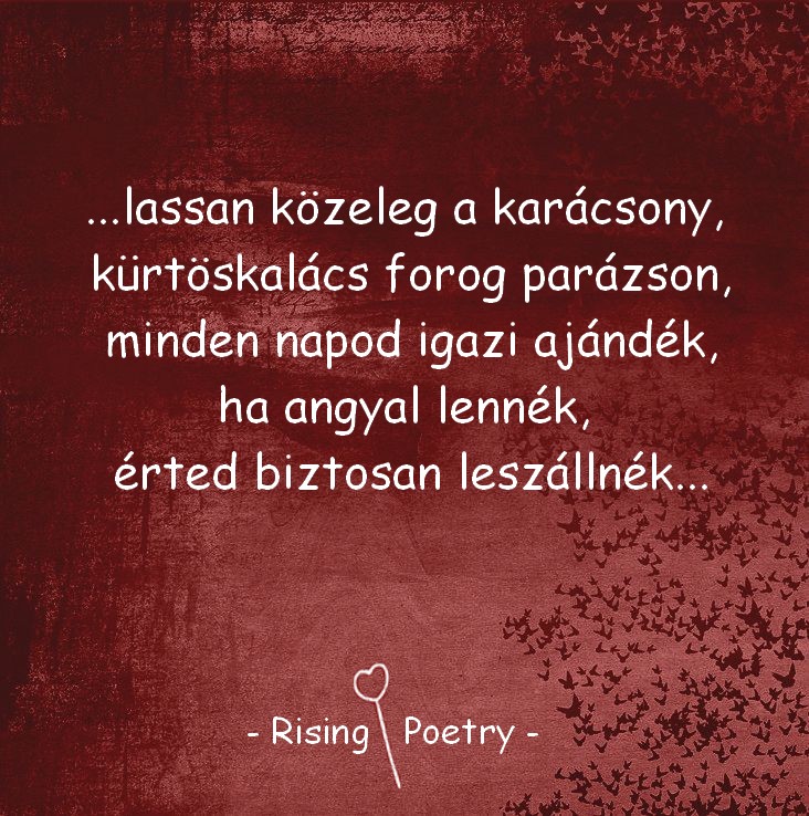 RP_INSTA_2019_28
