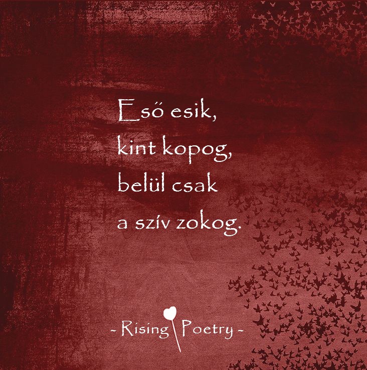 RP_INSTA_2019_8
