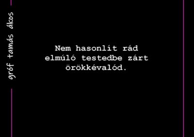 MaiHaiku
