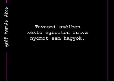 MaiHaiku