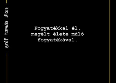 MaiHaiku