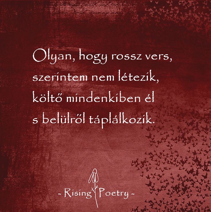 kolteszetnapja