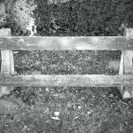 rising poetry - padolás