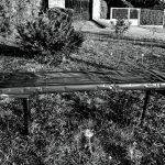 rising poetry - padolás